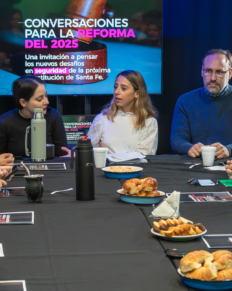 Reforma 2025: el desafío de la seguridad